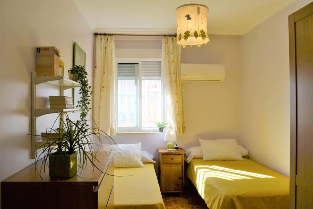 Apartamento El Hotelito De Trini